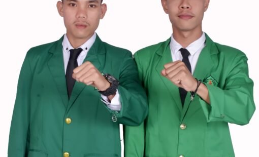 DEMA STAIN 2025-2026