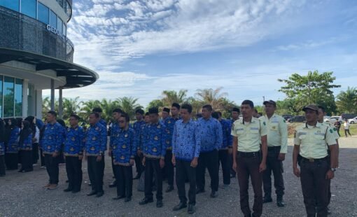 WhatsApp Image 2025-06-17 at 09.17.20