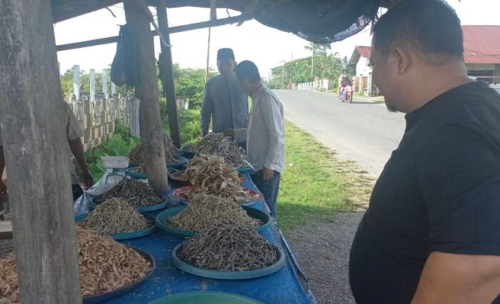 77ee5d4a-4b8f-444c-bea4-570a3f85698a 77ee5d4a-4b8f-444c-bea4-570a3f85698a